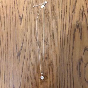 Express Diamond Necklace.